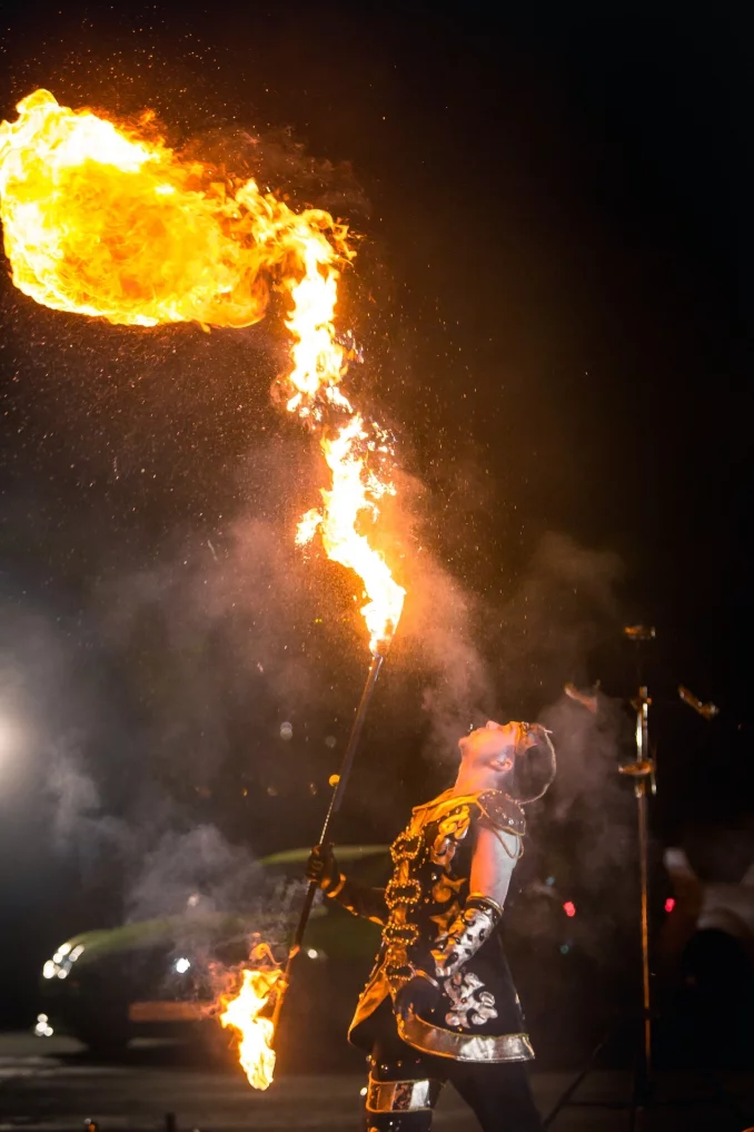 Фаер шоу на мероприятие