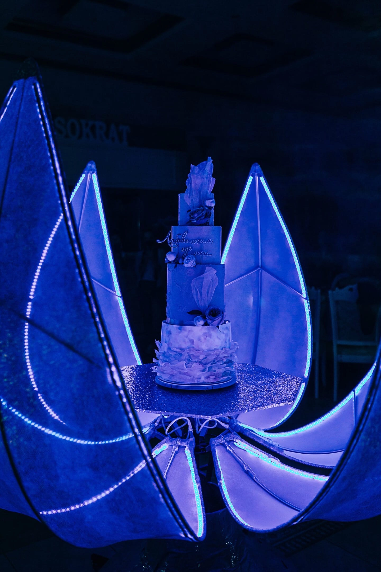 Шоу с тортом