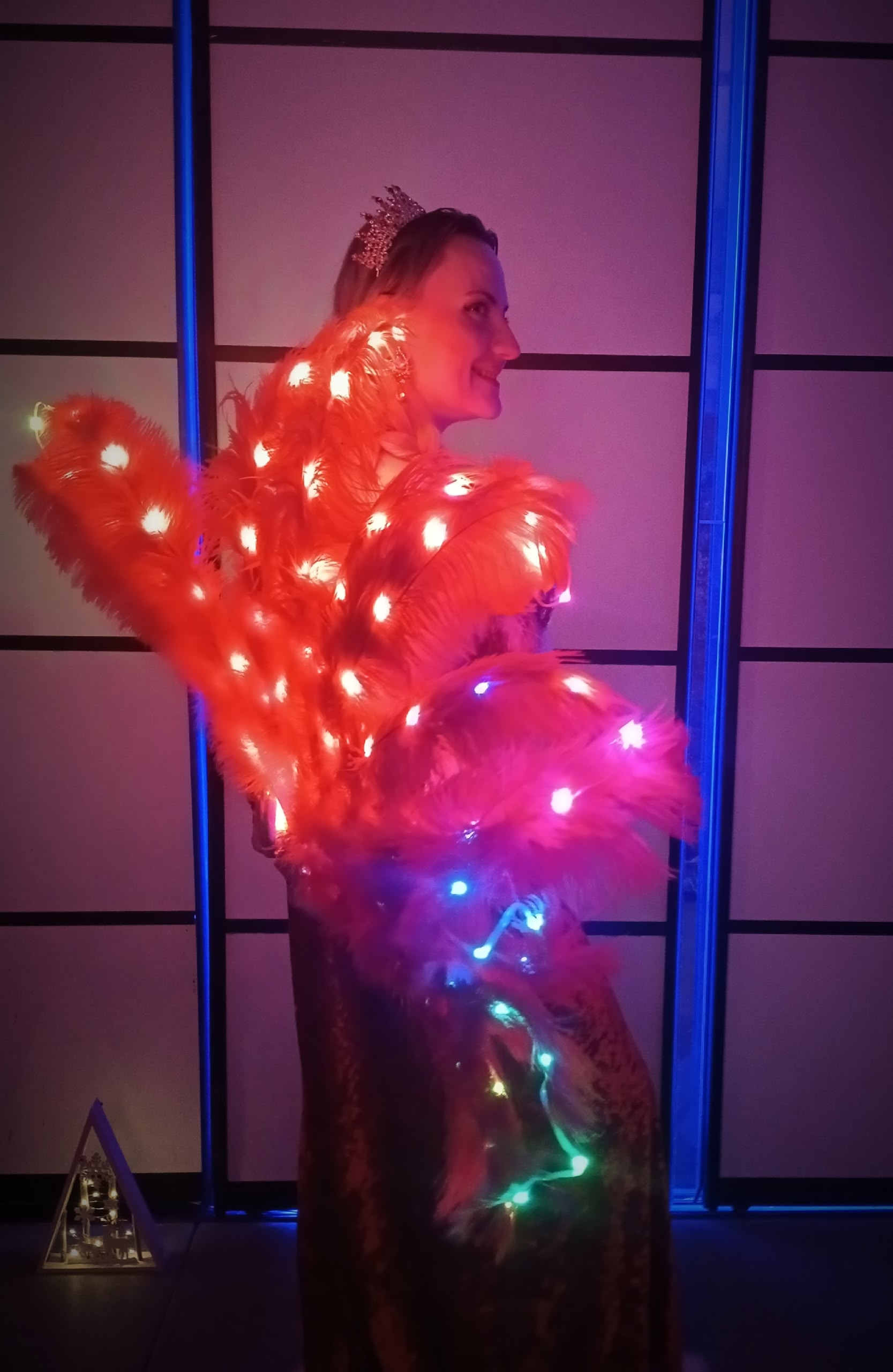 танцевальное шоу, снегурочка