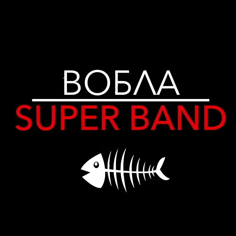 Кавер группа " ВОБЛА SUPER BAND "