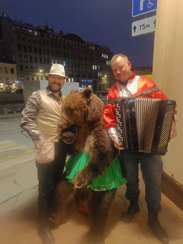 цыганский медведь