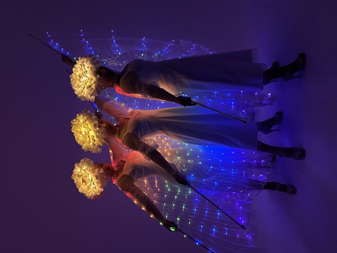 Светодиодное шоу