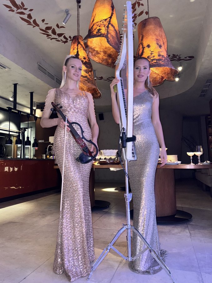 Дуэт скрипка / арфа