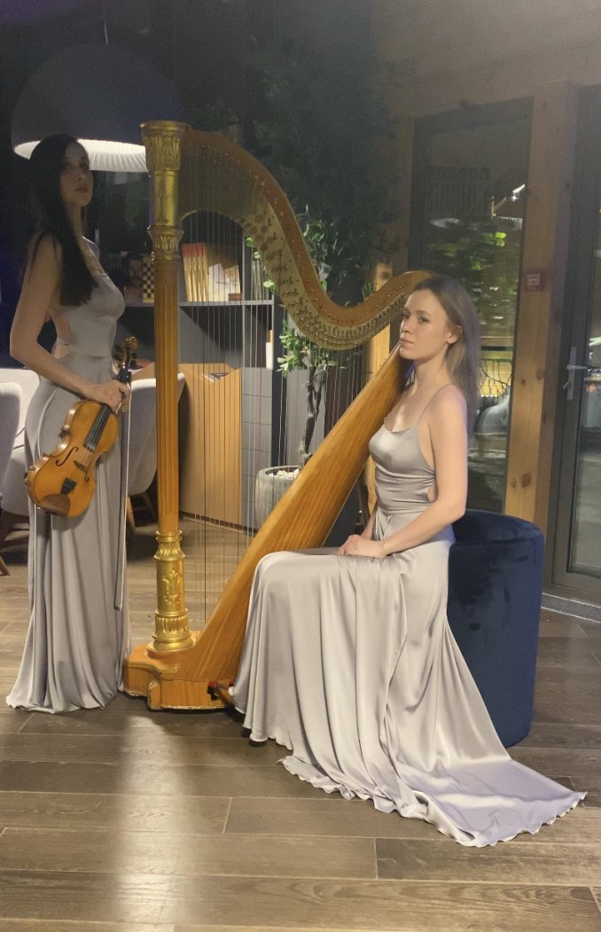 Harpist Diana Uspenskaya